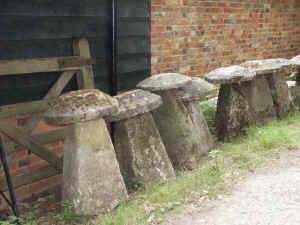 staddle stones