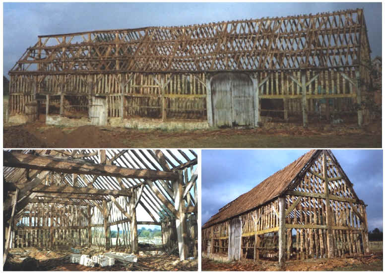 Favrollesa.jpg (2146460 bytes)